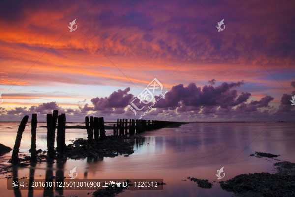 浪漫和戲劇性的夕陽紅在瓦登海的荷蘭