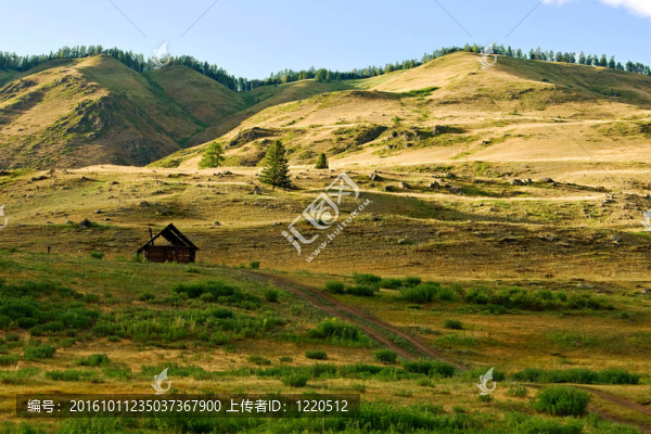 農(nóng)場在山