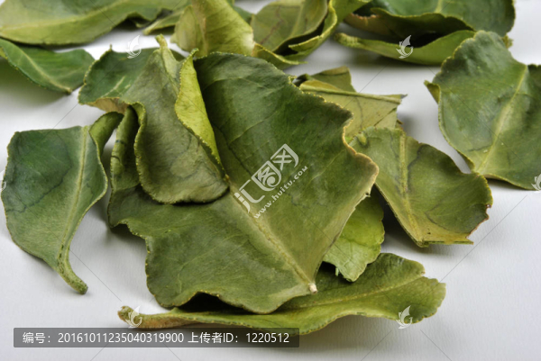 有機(jī)檸檬葉；適合素食者