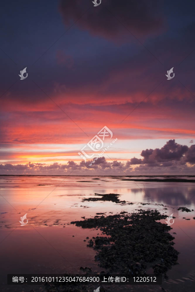 浪漫和戲劇性的夕陽紅在瓦登海的荷蘭