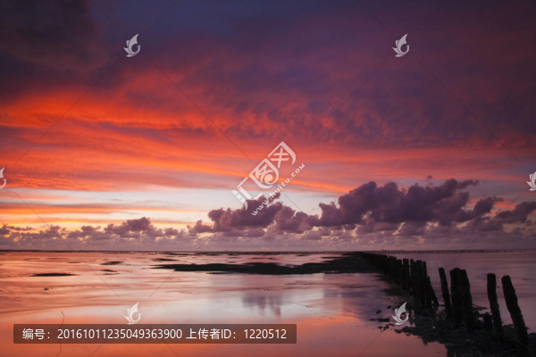 浪漫和戲劇性的夕陽(yáng)紅在瓦登海的荷蘭