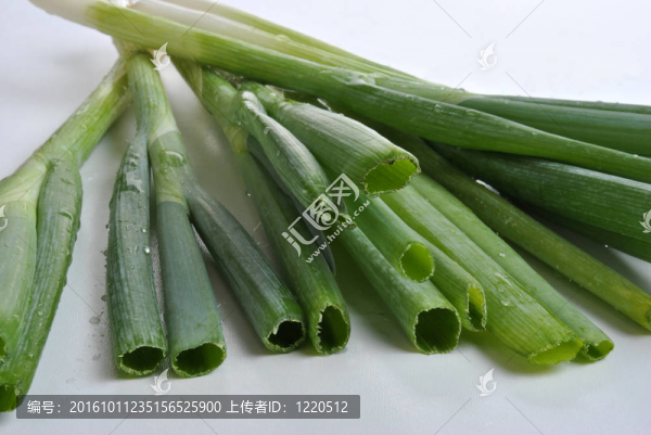 白底有機(jī)洋蔥