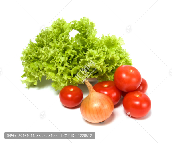 生菜沙拉和白色背景上的蔬菜