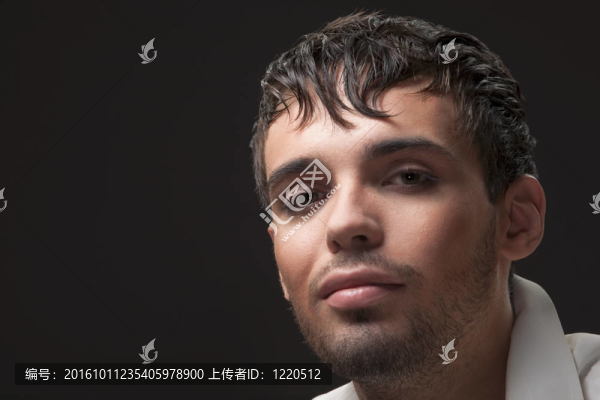 藝術(shù)人的肖像。