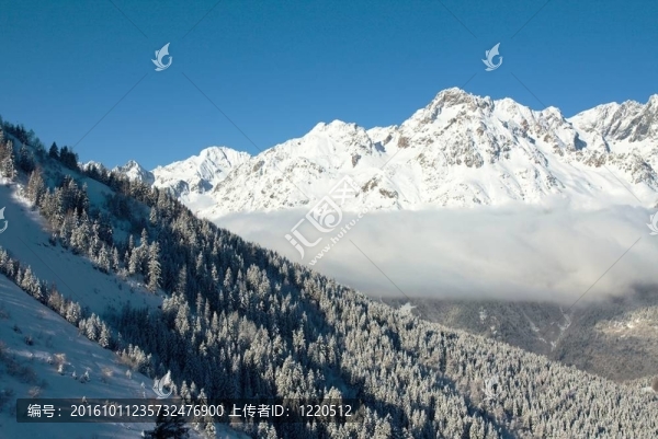 山