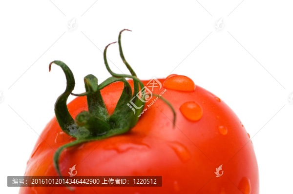 紅西紅柿與白水隔離