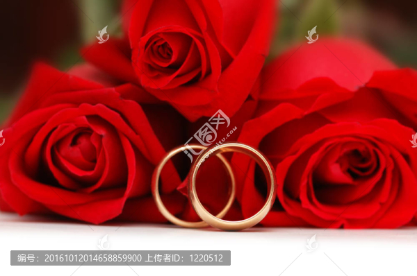 兩個(gè)黃金結(jié)婚戒指和紅玫瑰