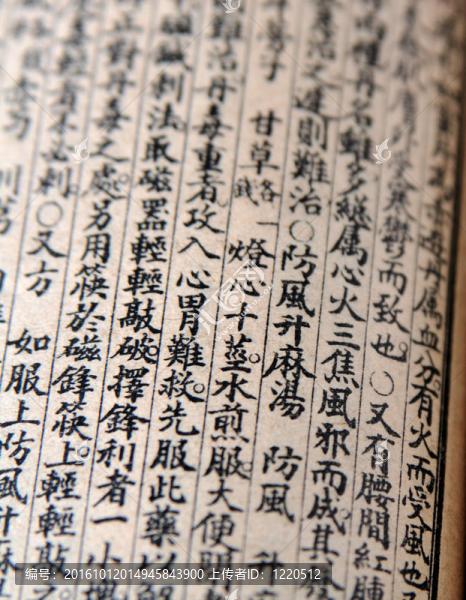 中文文本