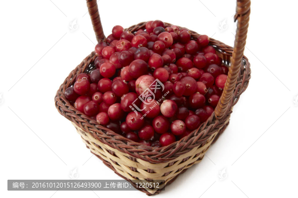 小紅莓