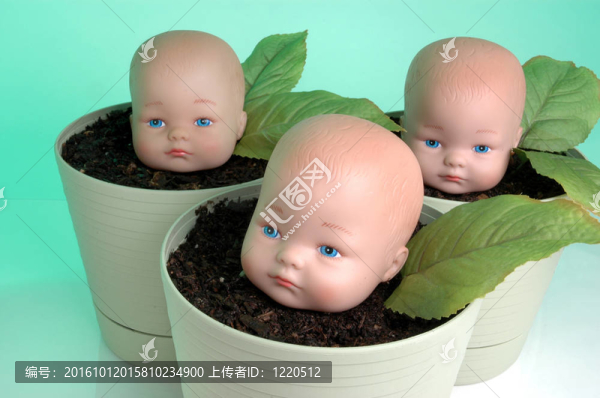 寶寶的成長5