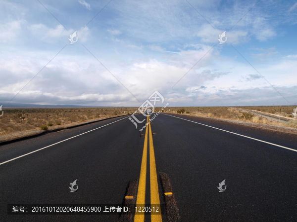 梨花公路