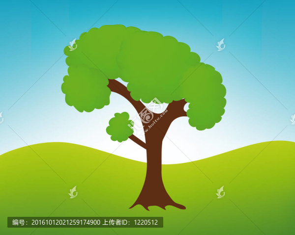樹(shù)的景觀