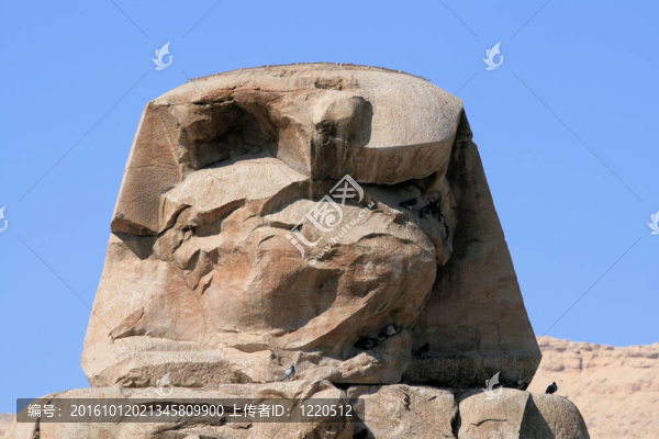 農(nóng)5,Colossi