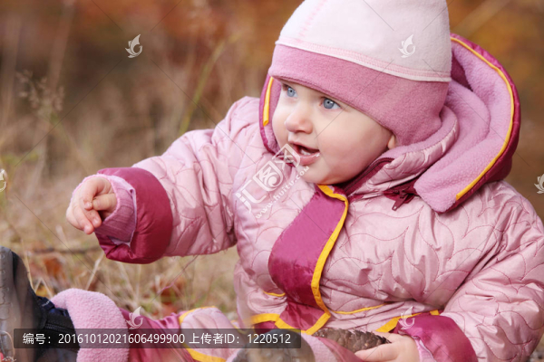 森林里的小嬰兒
