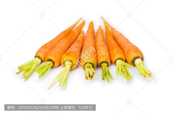 許多胡蘿卜在白色背景上分離