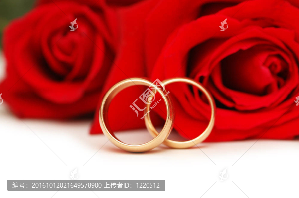 兩枚結(jié)婚戒指和白色的紅玫瑰