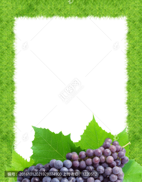 葡萄