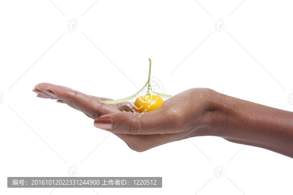 優(yōu)雅的女性的手