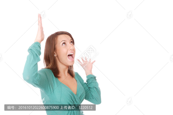 性感女人的肖像