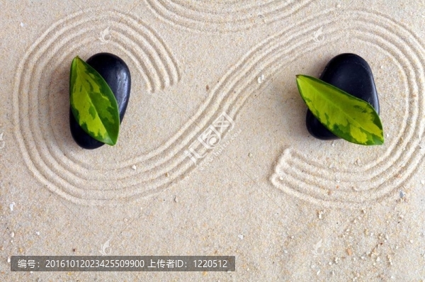 禪宗的靜物