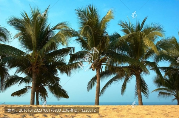 帕爾馬斯與海洋。