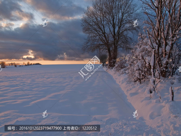 在雪地里的神奇的冬季日落