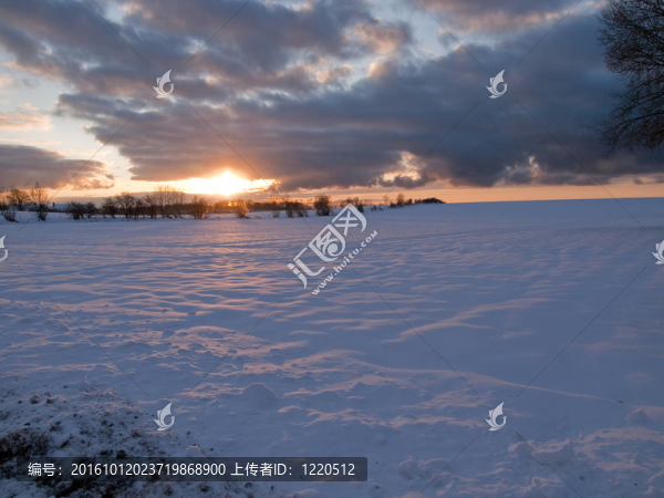 在雪地里的神奇的冬季日落