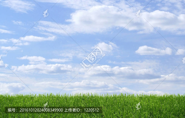 綠草和藍(lán)天