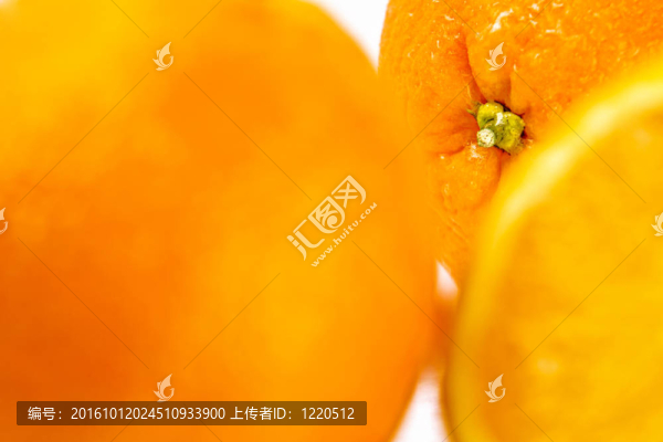 白色背景上的橙子