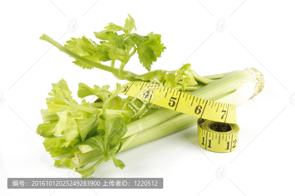 芹菜和磁帶測量