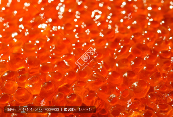 美味美味的軟紅魚子醬