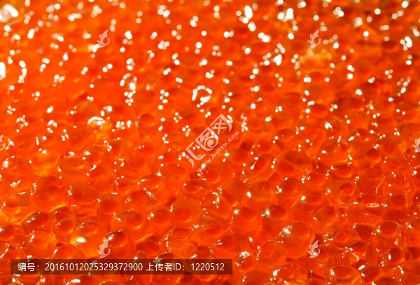 美味美味的軟紅魚子醬