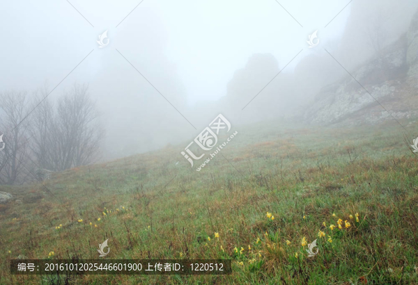 洛磯山