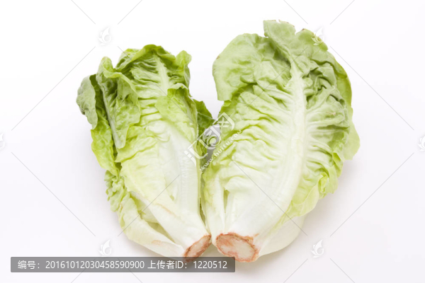 一顆小生菜