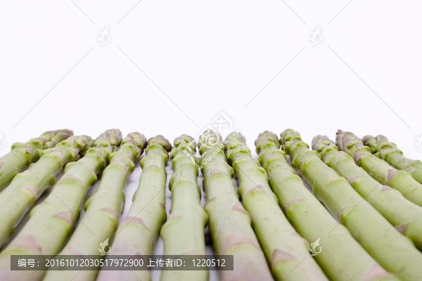 蘆筍摘要