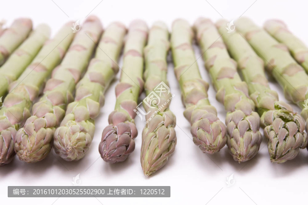 蘆筍內(nèi)幕