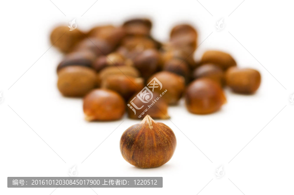白色背景上的許多栗子