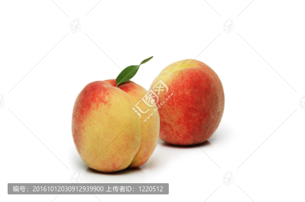 白色背景上的兩顆桃子