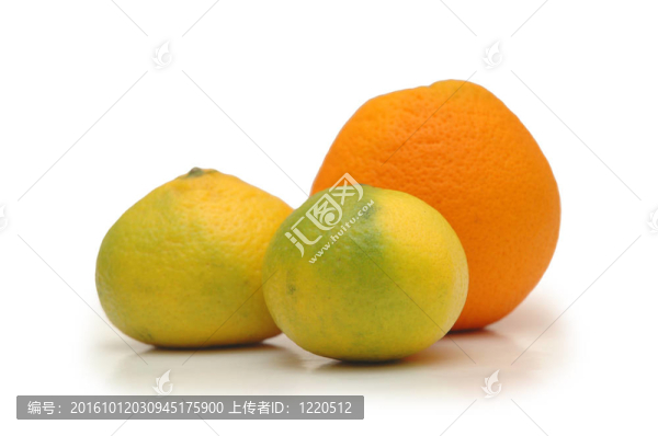 橙色和白色隔離兩個(gè)橘子