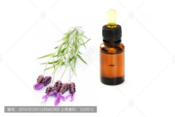薰衣草油