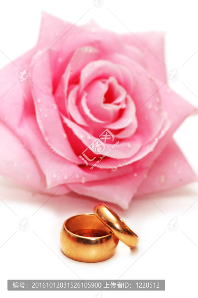 兩枚結(jié)婚戒指和白色的玫瑰