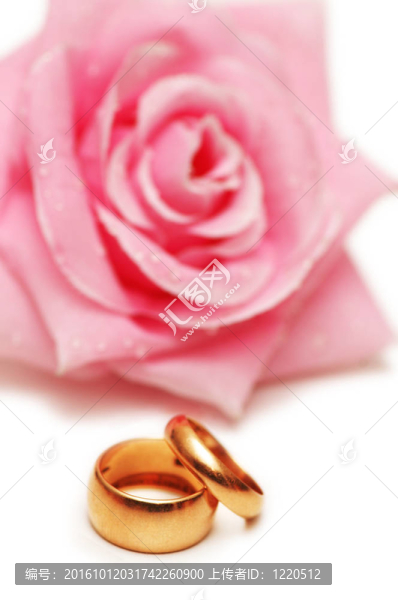 兩個(gè)結(jié)婚戒指和粉紅色的玫瑰在后臺(tái)