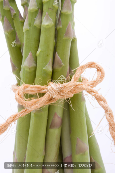 質(zhì)樸的蘆筍