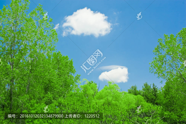 藍天白云
