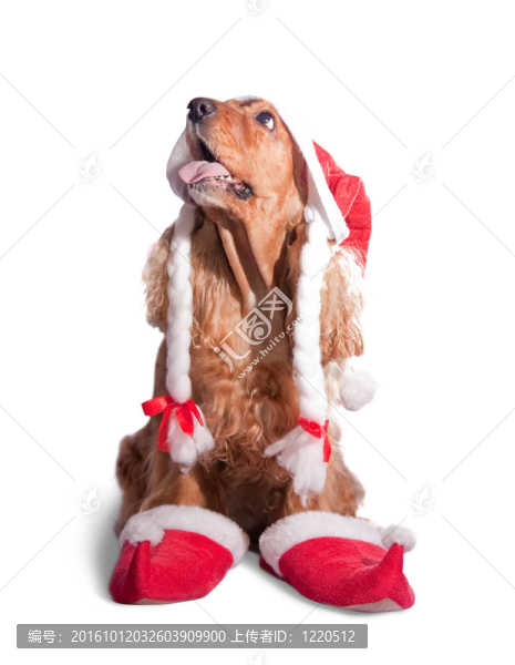 Santa獵犬