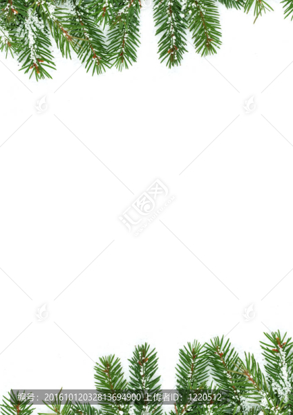 雪的圣誕框架
