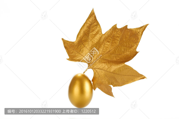 金表