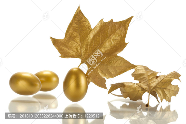 金表