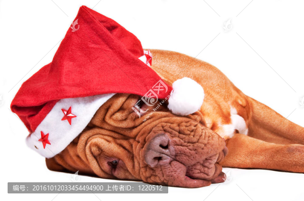 Santa累了嗎？