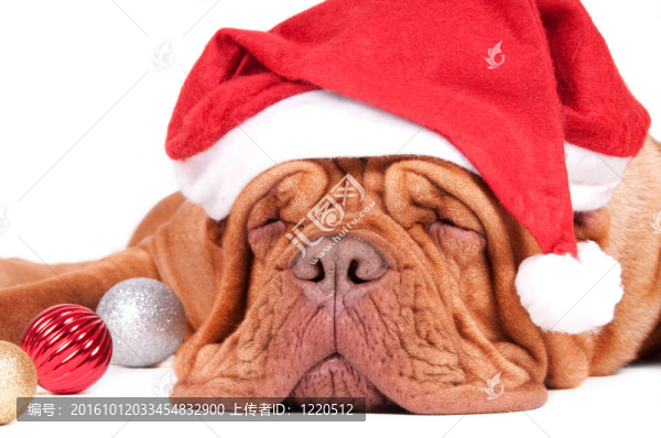 Santa什么時候來？